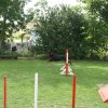 agility 2011-07-24